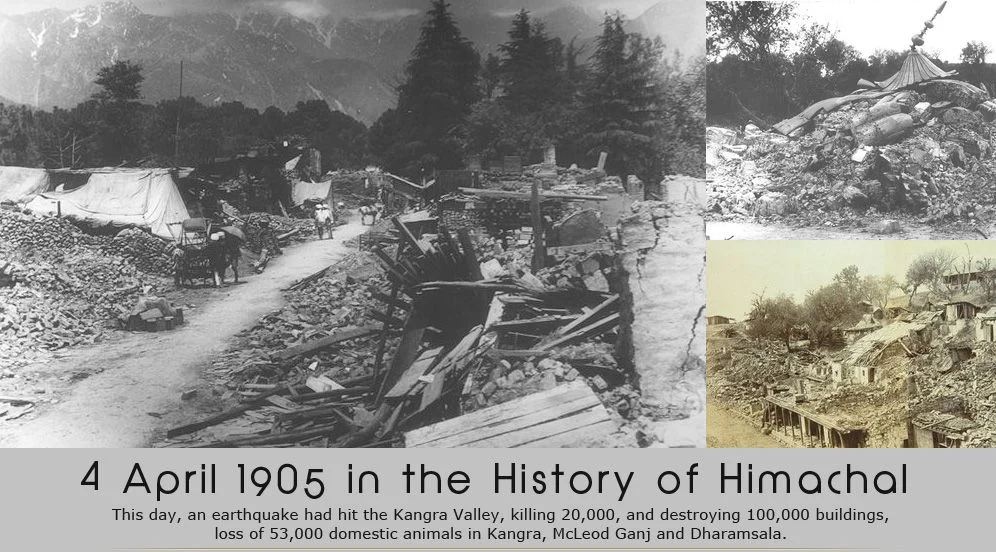 The 1905 Earthquake, Remembered in Leaf
